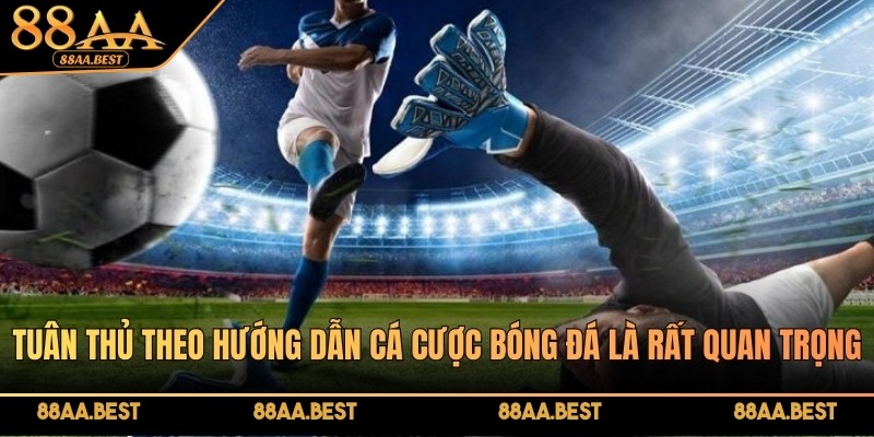Hướng dẫn cá cược bóng đá tại 88AA cho người mới tham gia thể thao
